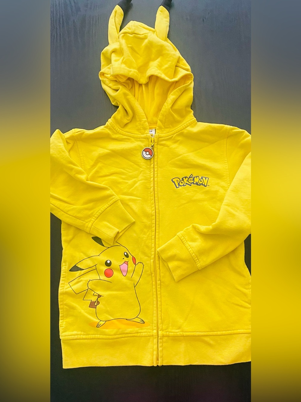 Pokemon Pikachu Kids Costume Zip Up Hoodie Jacket Ear Hood